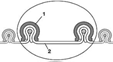 Hose construction